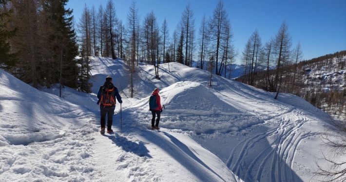 Winter hiking tour to Debela Peč