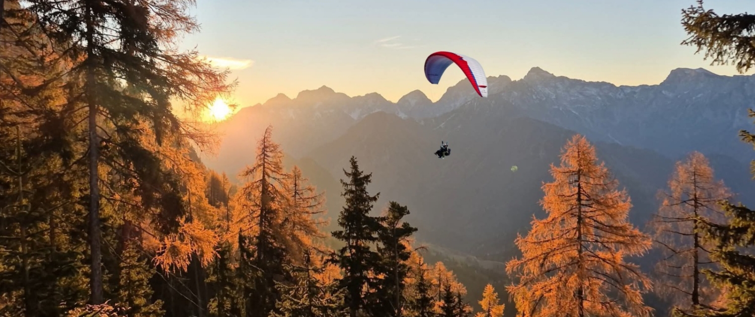 FB_IMG_1763412363082(1)(1)(1)