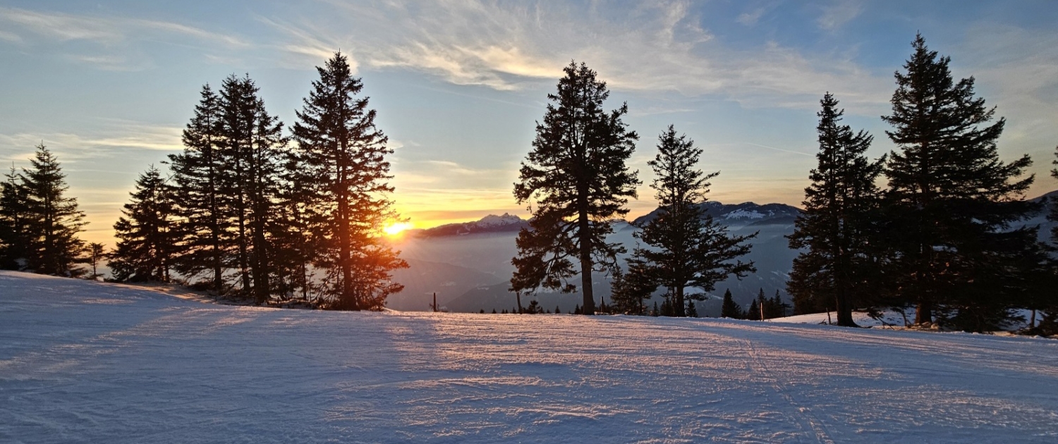 20250222_210527_095008